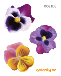 Pansies, double-sided printing