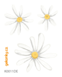 Daisies, double-sided printing