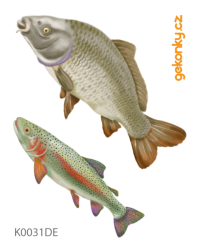 Carp, trout, double-sided printing