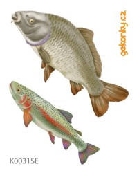 Carp, trout