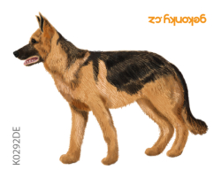 German Shepherd, double-sided printing