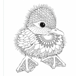 coloring pages