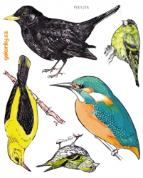 Ptáci 2, obtisk na textil