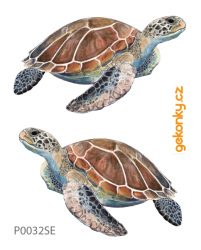 Sea turtle, double-sided printing