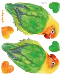 Parrot, decal for fabric