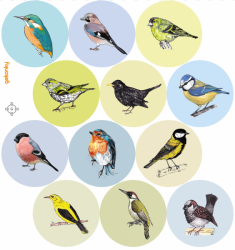Veselé puntíky - naši ptáci, textilní samolepky na zeď