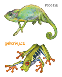 Žába a chameleon, oboustranný potisk