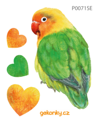 Lovebird