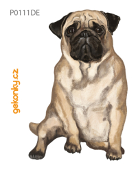 Pug, double-sided printing